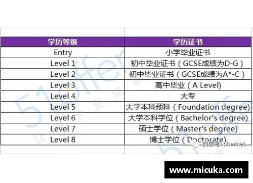 法甲球员税收政策解析及影响分析